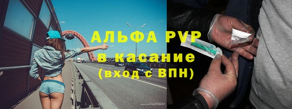 мяу мяу кристалл Богданович