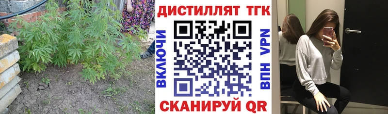 цены   Данков  Дистиллят ТГК Wax 