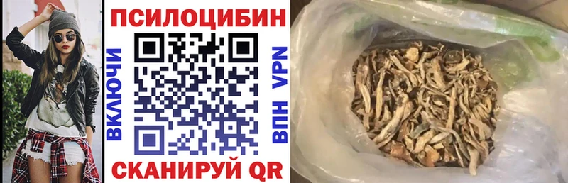 купить наркоту блэк спрут сайт Галлюциногенные грибы GOLDEN TEACHER Данков